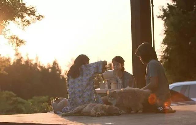 除了《乘风破浪的姐姐》,不出门的日子你也可以看看这些神仙综艺