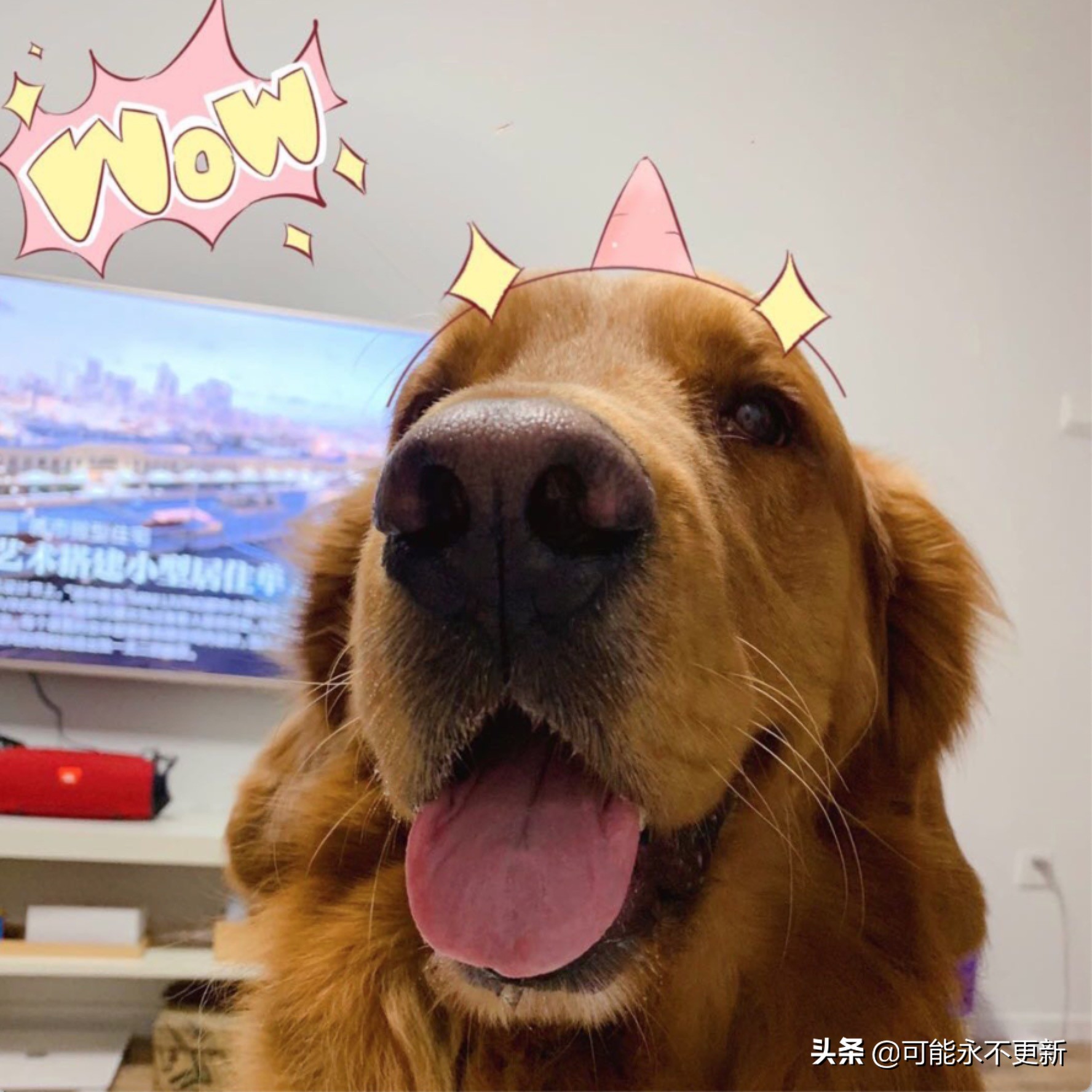 我和益生菌的故事,我和蒙牛产品的故事