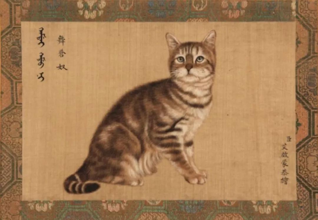 古代猫名字,古代猫的名字