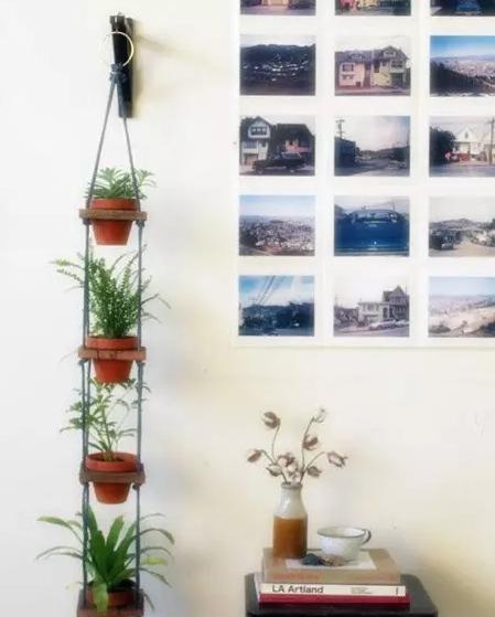 家庭养花的花架装饰效果图,养花达人的室内阳台