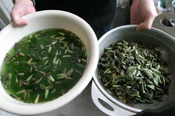 瓜子为什么说原味的好,原味的瓜子有添加剂吗