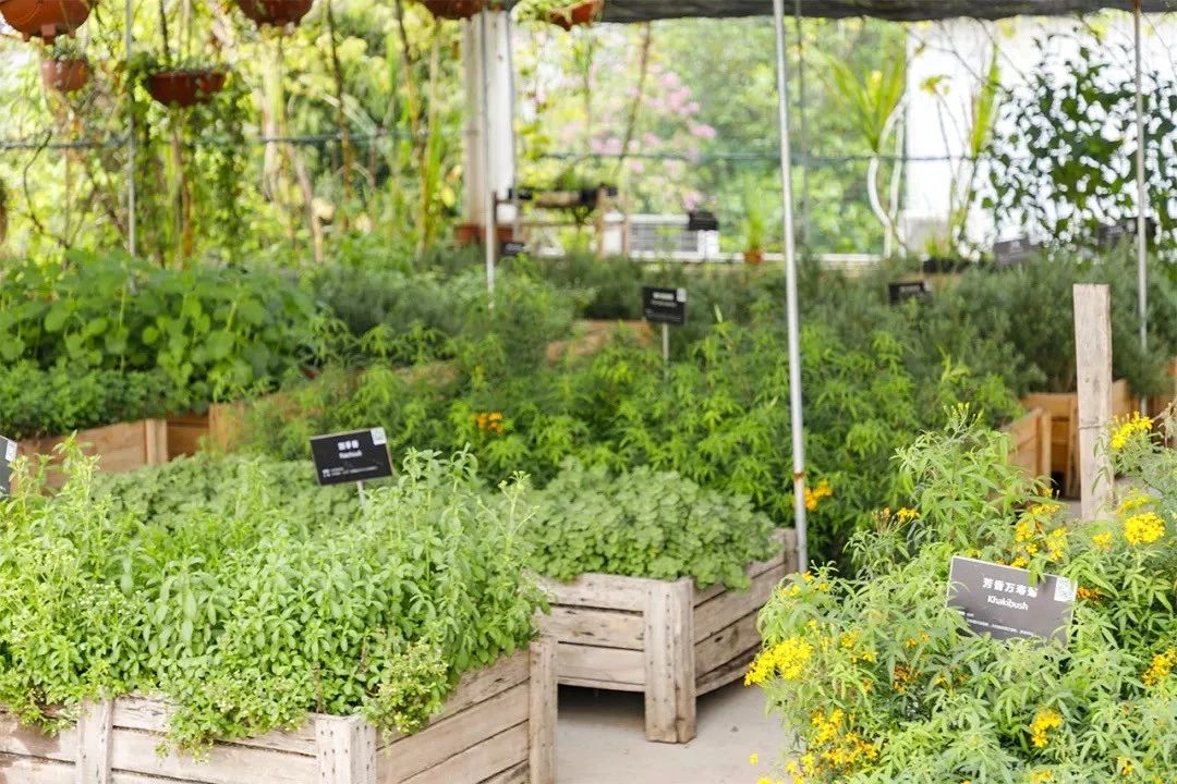 深圳夜晚小众打卡地景点,深圳十个小众打卡地