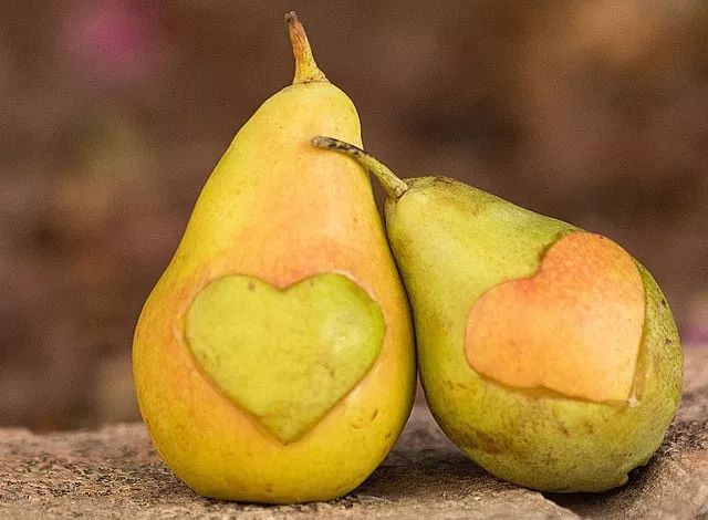 乐其英语怎么说,乐其国际英语怎么说