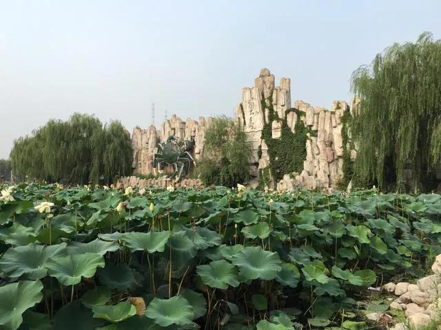 北京蟹岛绿色生态度假村案例分析,北京蟹岛绿色生态度假村酒店