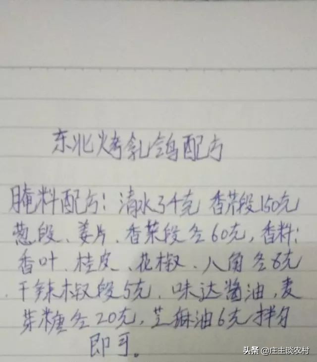 厨师手写配方大全集,商用厨师配方教程