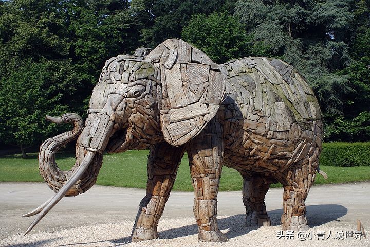 比利时的官方语言是什么语言,世界上完全没有文字的国家