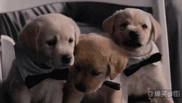 得了灰指甲，一个传染俩，教你怎么办