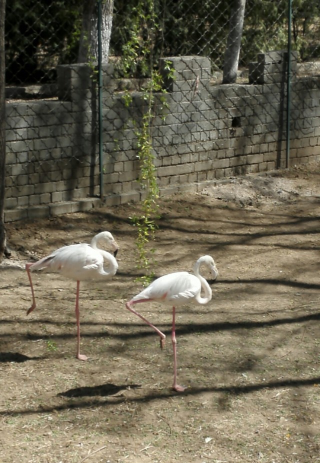 北京怀柔红螺寺景区有疫情吗,北京怀柔疫情红螺寺还能去吗