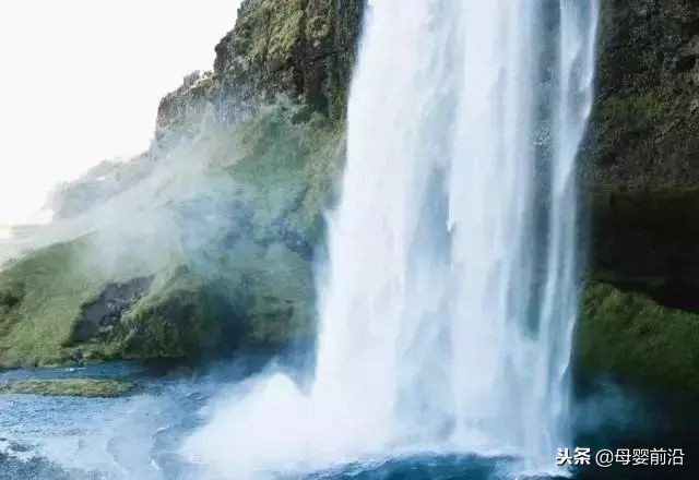 贝因美重生之路,贝因美重振河山