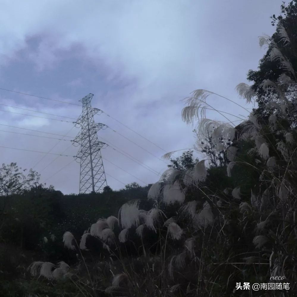 世界尽头与冷酷仙境书籍,书籍的力量名言名句