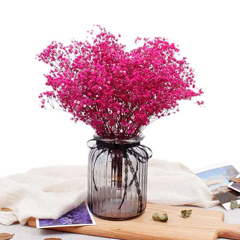 满天星的花语,满天星的花语给客户怎么说