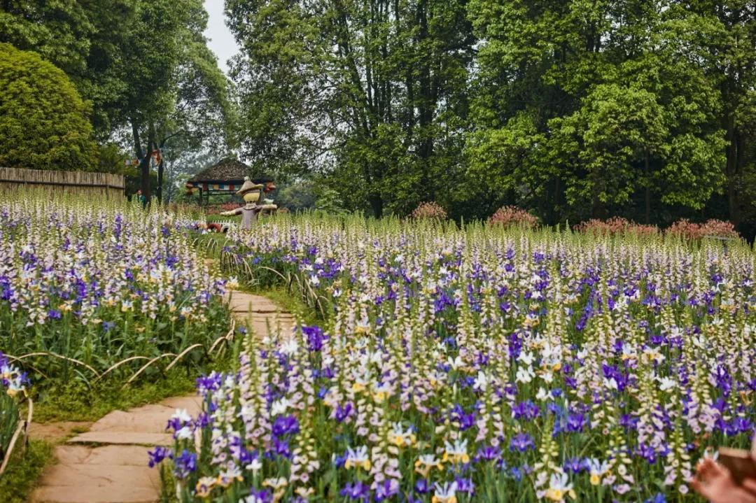 成都石象湖国家级生态园,成都石象湖风景区
