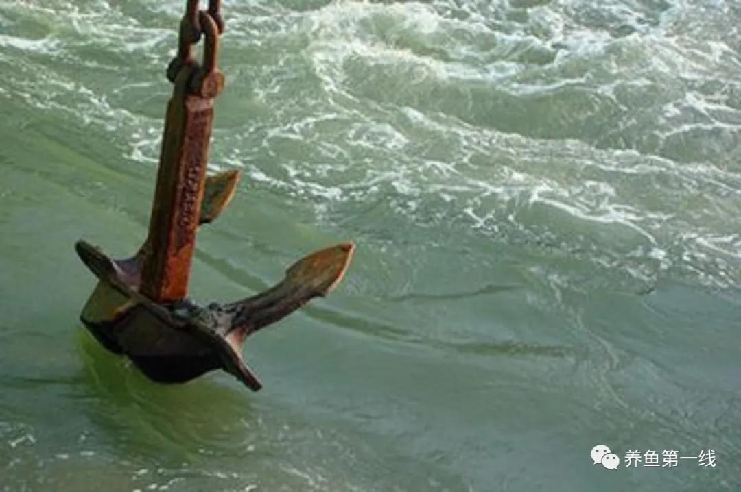 鱼身上有红斑用什么药治理,鱼身上有红斑怎么解决