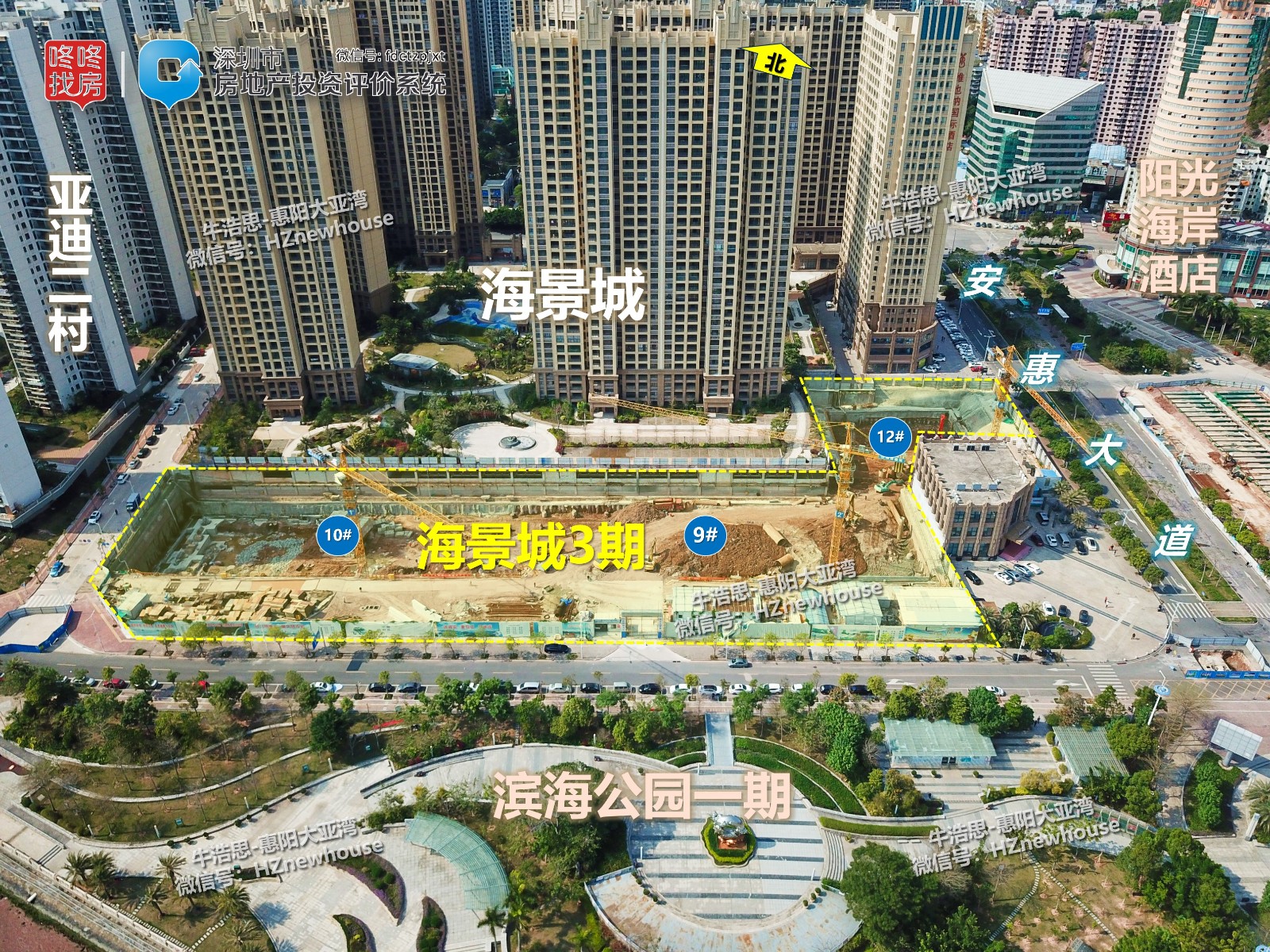 老牛观察大亚湾,大亚湾中心区老牛观察