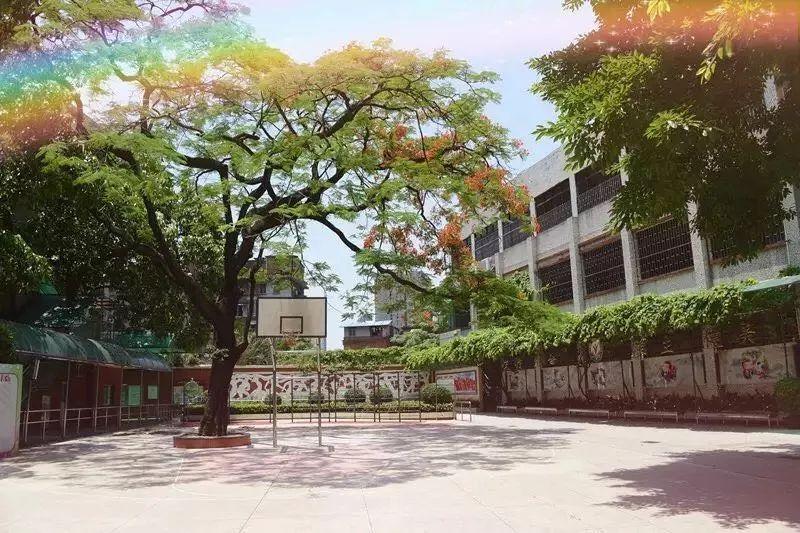 海珠区排名前十的小学,海珠区最好的小学是哪所