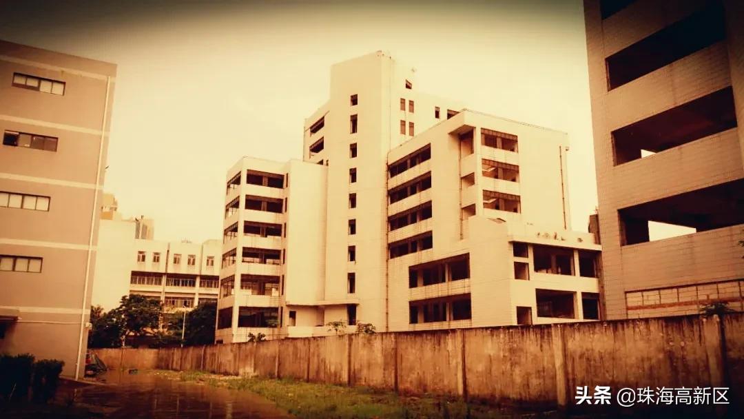 港湾一号最新消息今天,港湾1号最新视频