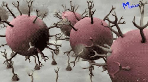 新冠测试纸是谁研制的,新冠测试纸原理