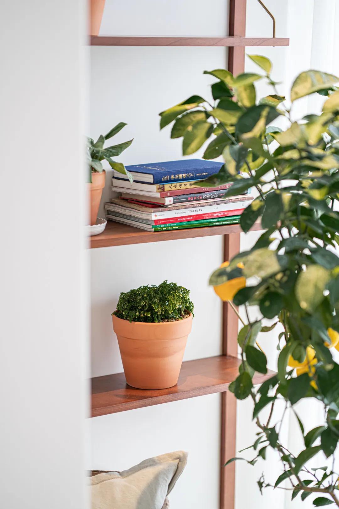 西安母女的111㎡三室暗房,拱形门、水磨石,超强储物力