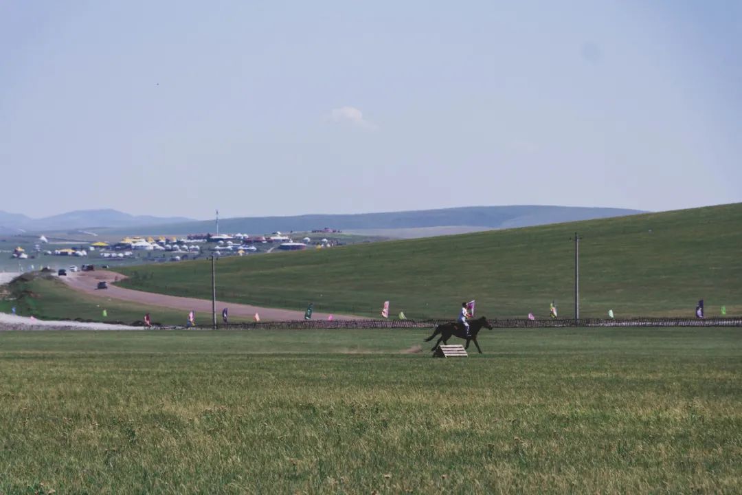自驾三天呼伦贝尔大草原,自驾去呼伦贝尔草原七日游的攻略