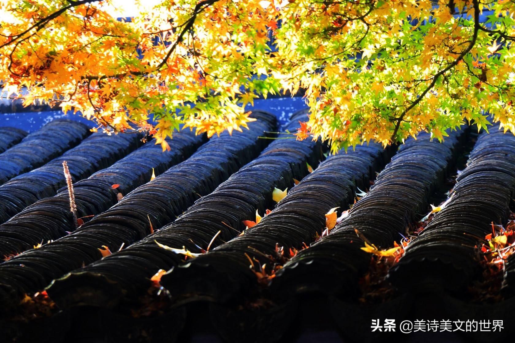 曾被严重忽视的宋词,原创一首被严重低估的宋词