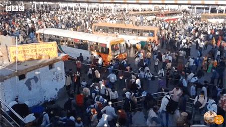 印度封国20天哭了，美国总统说了一句话......