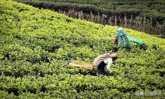 古时候女孩子送男孩子的定情信物,古时候男女互送什么作为定情信物