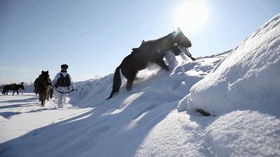 风雪边关边防官兵踏雪巡逻,风雪巡逻边防官兵与界碑相伴