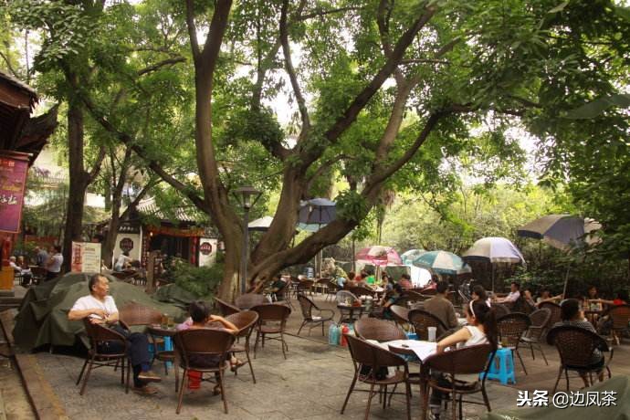 探访茶马古道老茶,马边旅行攻略