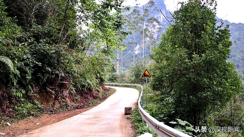 边境小村大莫的蝶变|村里打光棍的小伙少了