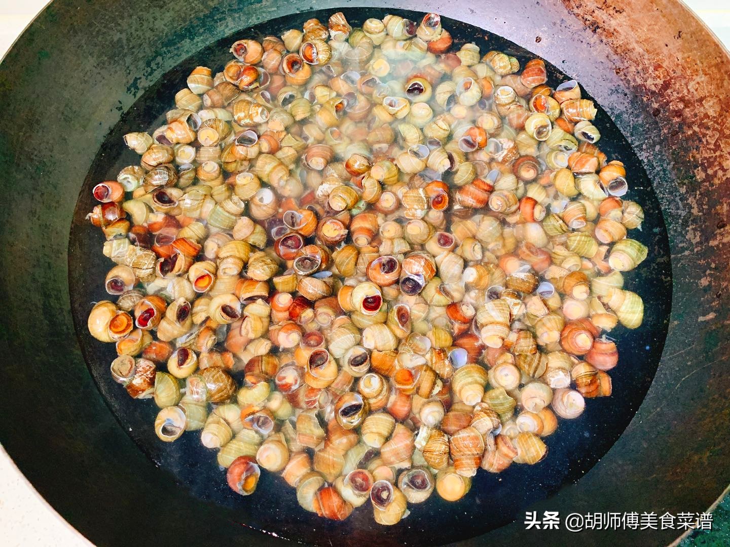 田螺洗出来水绿色,田螺洗干净后还是沙沙的