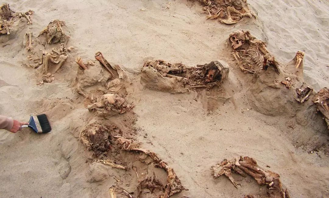 权健风波揭开保健品骗局,权健无限极产品哪个好