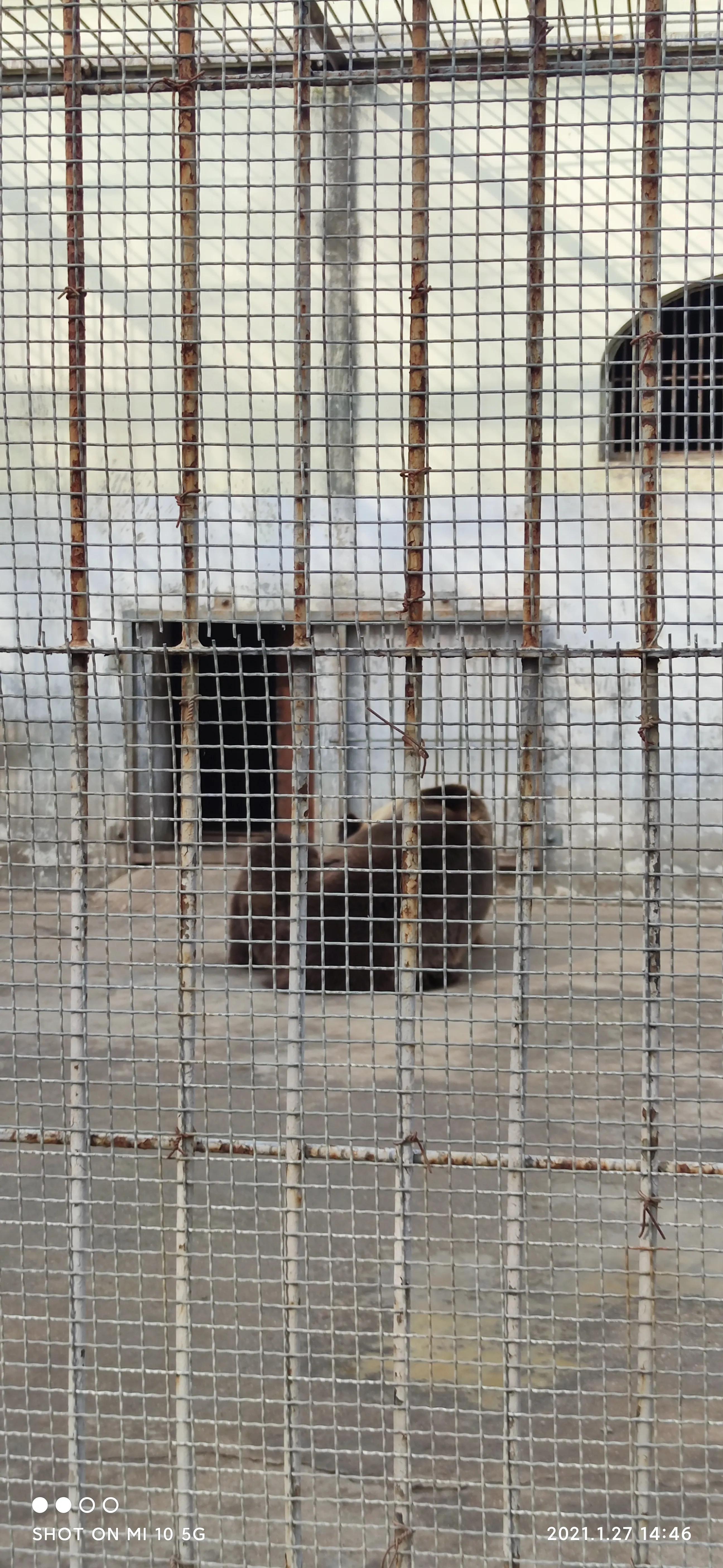 关于写动物园的句子,动物园宣传语短句