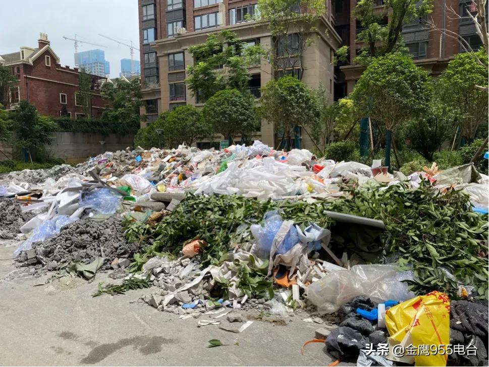 小区绿化带变成垃圾堆放点,小区绿化带遍地垃圾