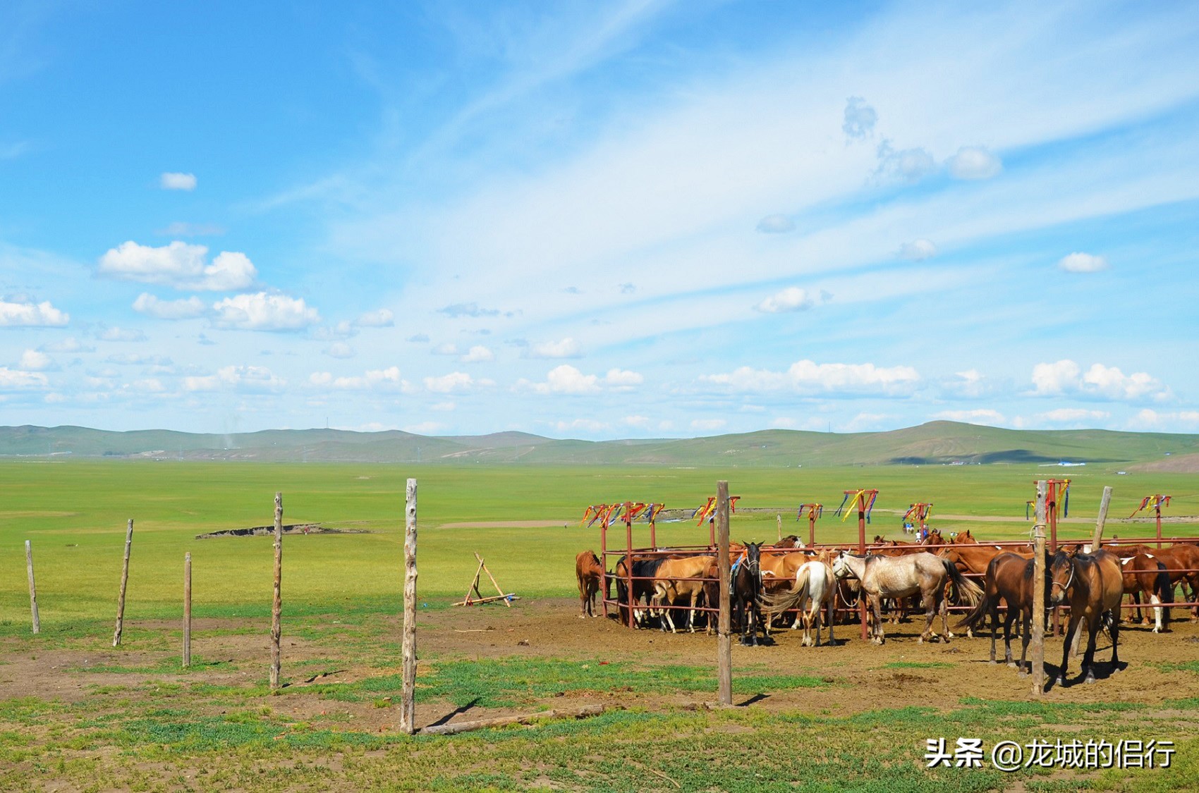 金帐汗国有哪些蒙古部落,正蓝旗金帐镇大营