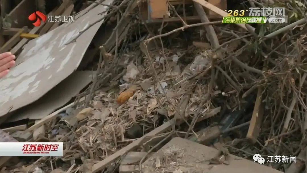 洪泽湖大堤生态环境,洪泽湖生态红线