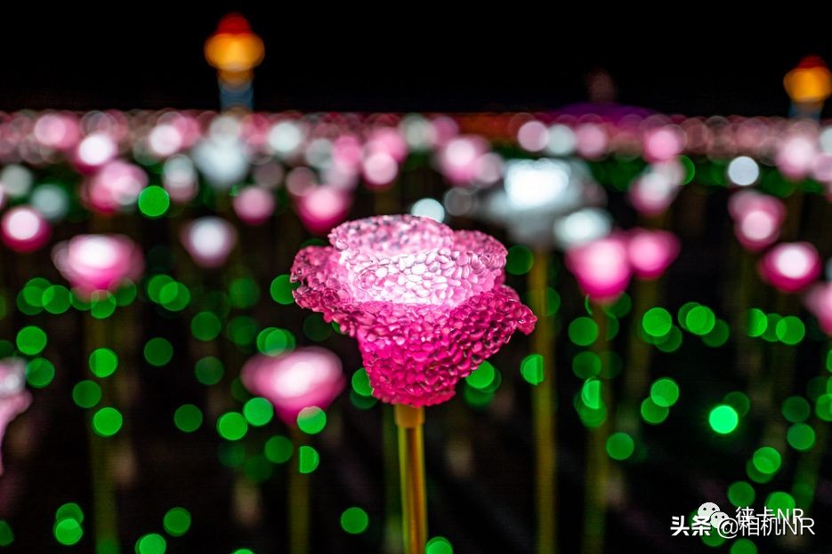 徕卡q3的视频怎么导出来,徕卡q是定焦的么