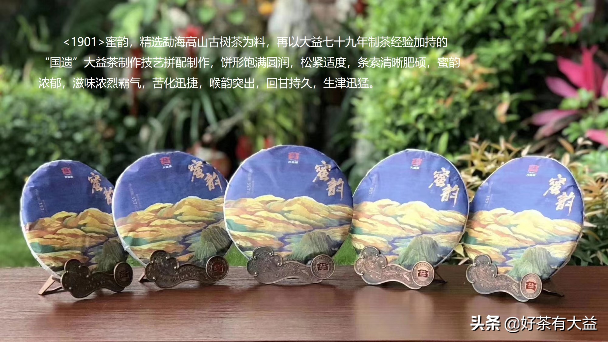 大益七子饼茶越陈越香,大益茶满庭香