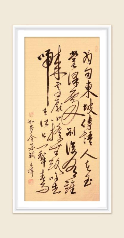 巜以苏轼之名，品味宋代极致美学》——王伟书法之十五