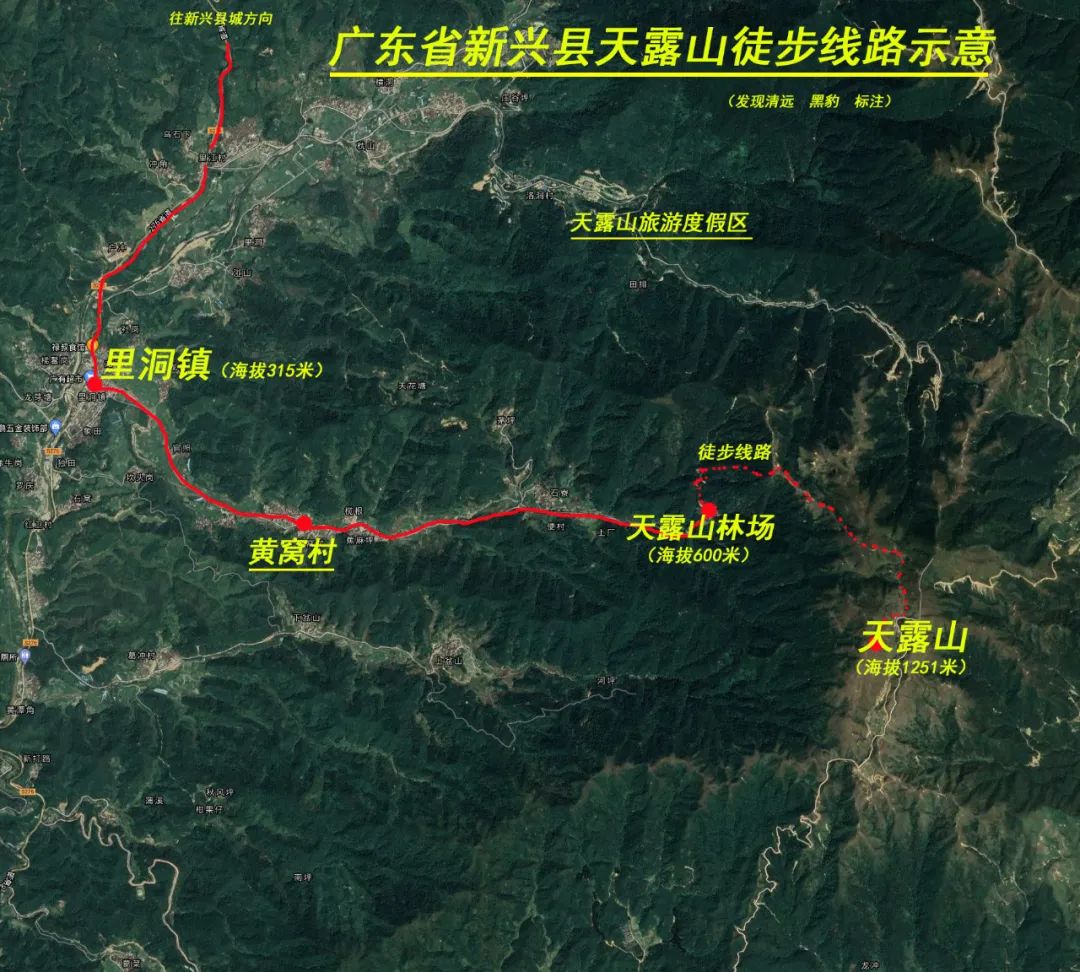 在天露山杜鹃花海丛中劲跳广场舞，这帮广东大妈又火了