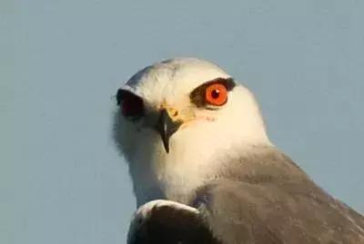 不要再乱用眼药水,日本网红眼药水