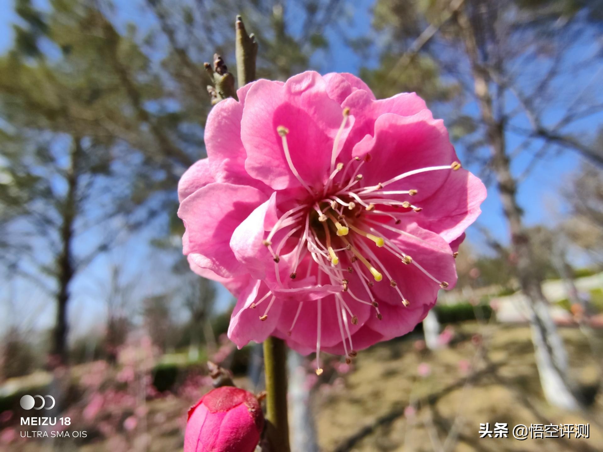 魅族系统对安卓改动有多大,拥有纯净系统的魅族18这次稳了