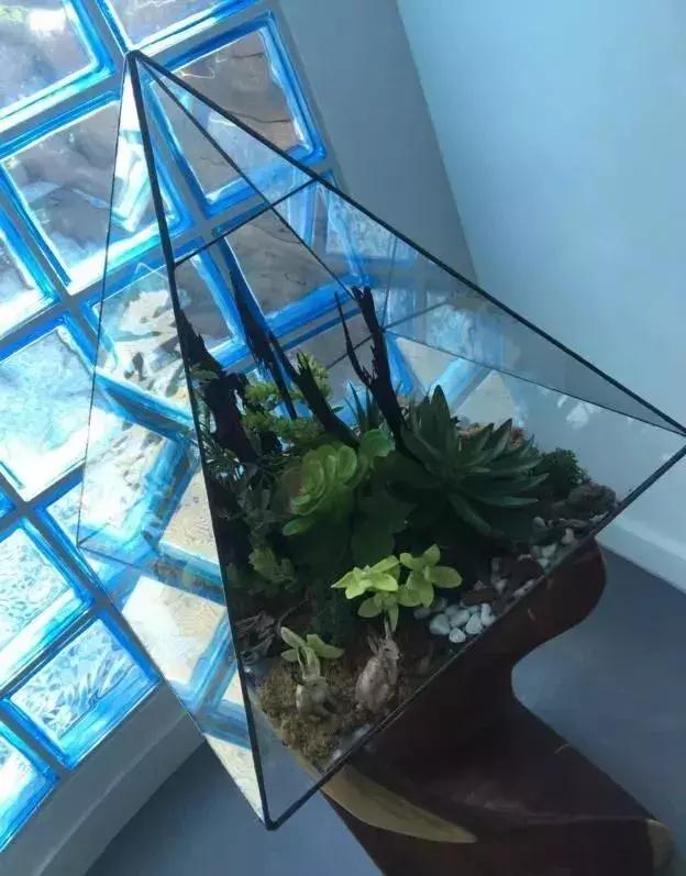 老佛爷的遗产真的由猫继承,老佛爷的所有家产最后留给了猫