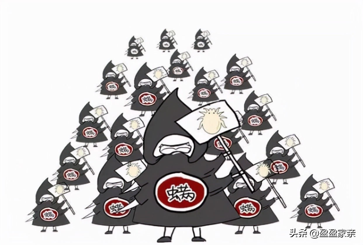 螨虫怎么消除最简单方法,生活中的螨虫怎么消灭