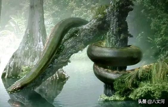 强烈推荐5本超棒的仙侠修真小说,灵气复苏洪荒觉醒小说