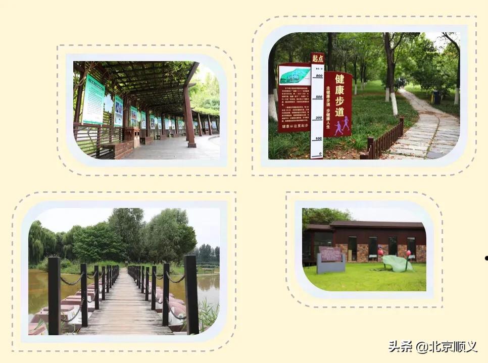 假期最后一天公园,假期结束前逛公园