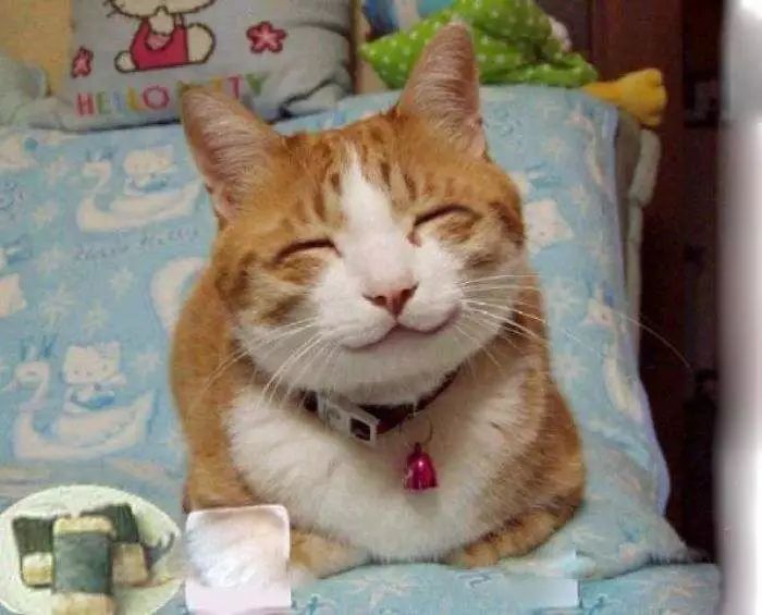 如何拯救下巴,轻松拯救下颚