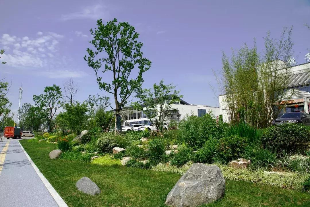 一石百景寸石丈情