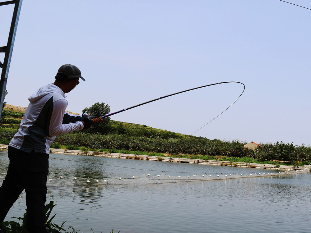 鱼竿开光需要检查什么 (新买的鱼竿开光要选日期吗)