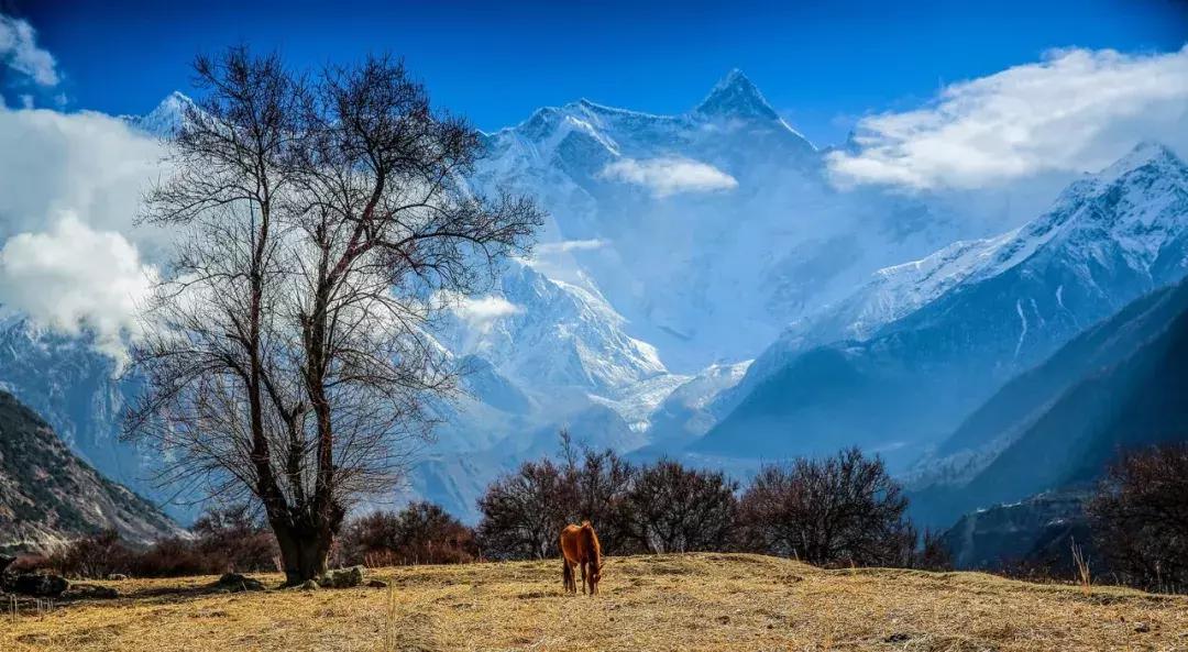 11月适合去旅行的著名风景推荐,10月11月适合旅游的地方