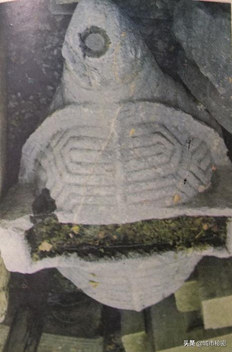 金庸谈衢州,金庸笔下浙江江山市